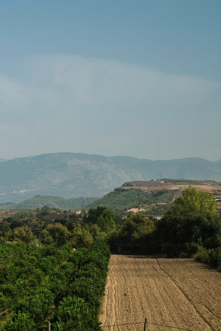 Виктория Крылова |