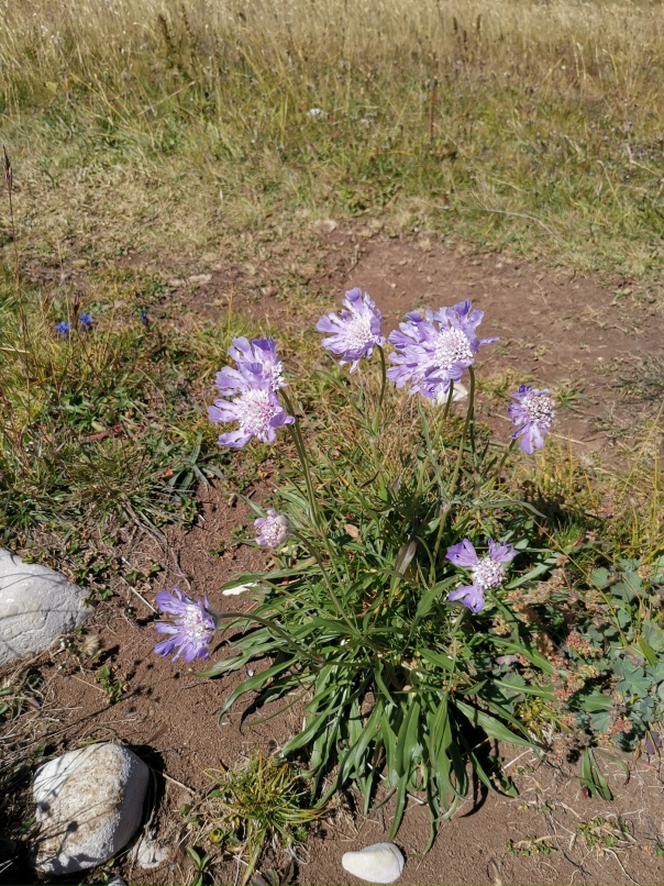 Ирина Аксарина | Санкт-Петербург