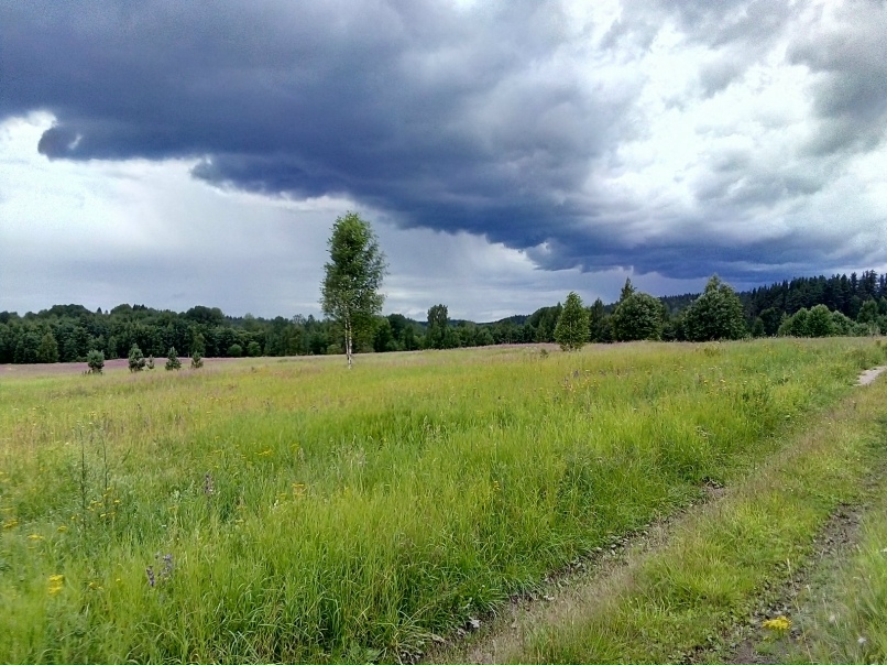 Вениамин Иванов | Петрозаводск