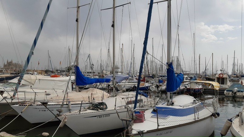 Елена Сысоева | Санкт-Петербург