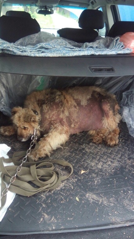 Ольга Муравьева | Иваново