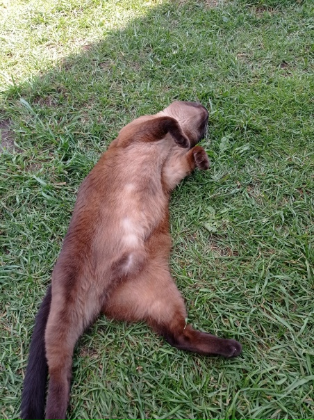 Доброго времени суток одногруппники, хочу...