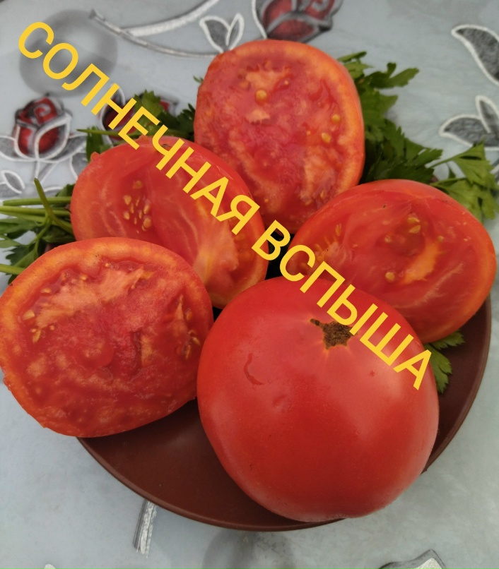 Светлана Конина | Кадниковский
