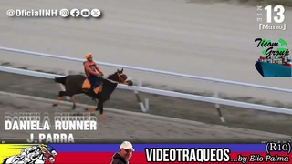 VideoTraqueos (1ra parte) | Carrera programada 17/03/24 La Rinconada INH | R10 | DosierHipico#72