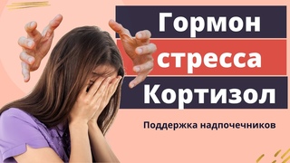 Кортизол. Гормон Cтресса. Как привести  кортизол в норму