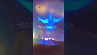 😅 Полицейский был в шоке, когда узнал, за кем гнался! | Новостничок