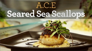 Seared Sea Scallops Recipe - Inside My Kitchen