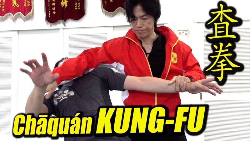 KUNG FU Hidden techniques of Chāquán, Cun jin, liao yin zhang, Headbutt Tamotsu