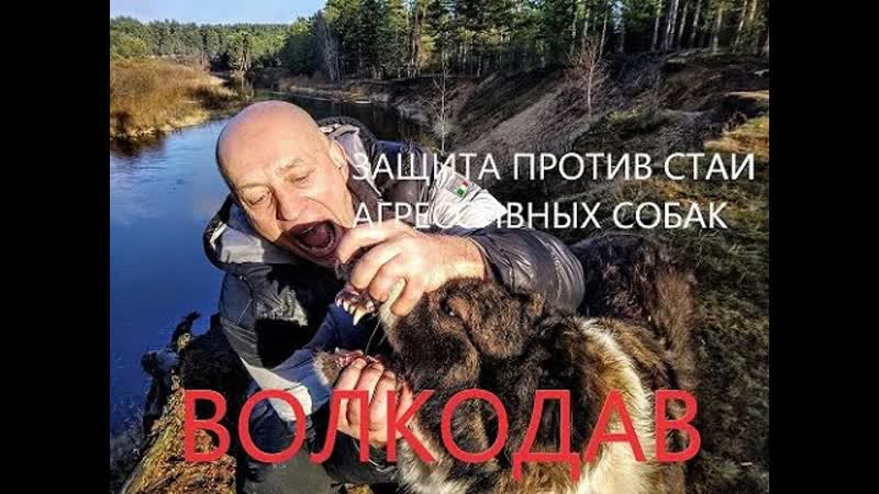Вадим Старов Защита против Стаи Собак часть 1 Волкодав