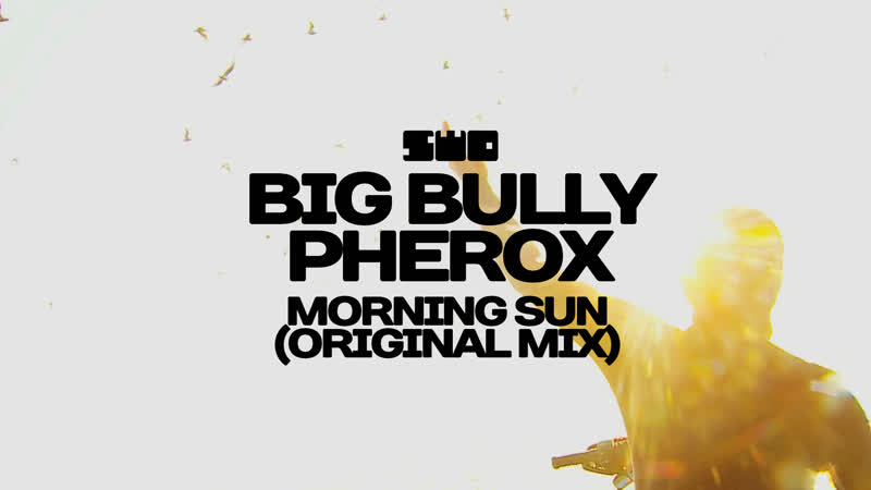 Big Bully Pherox Morning Sun ( Original Mix), DARK SIDE OF THE LENS, rework: