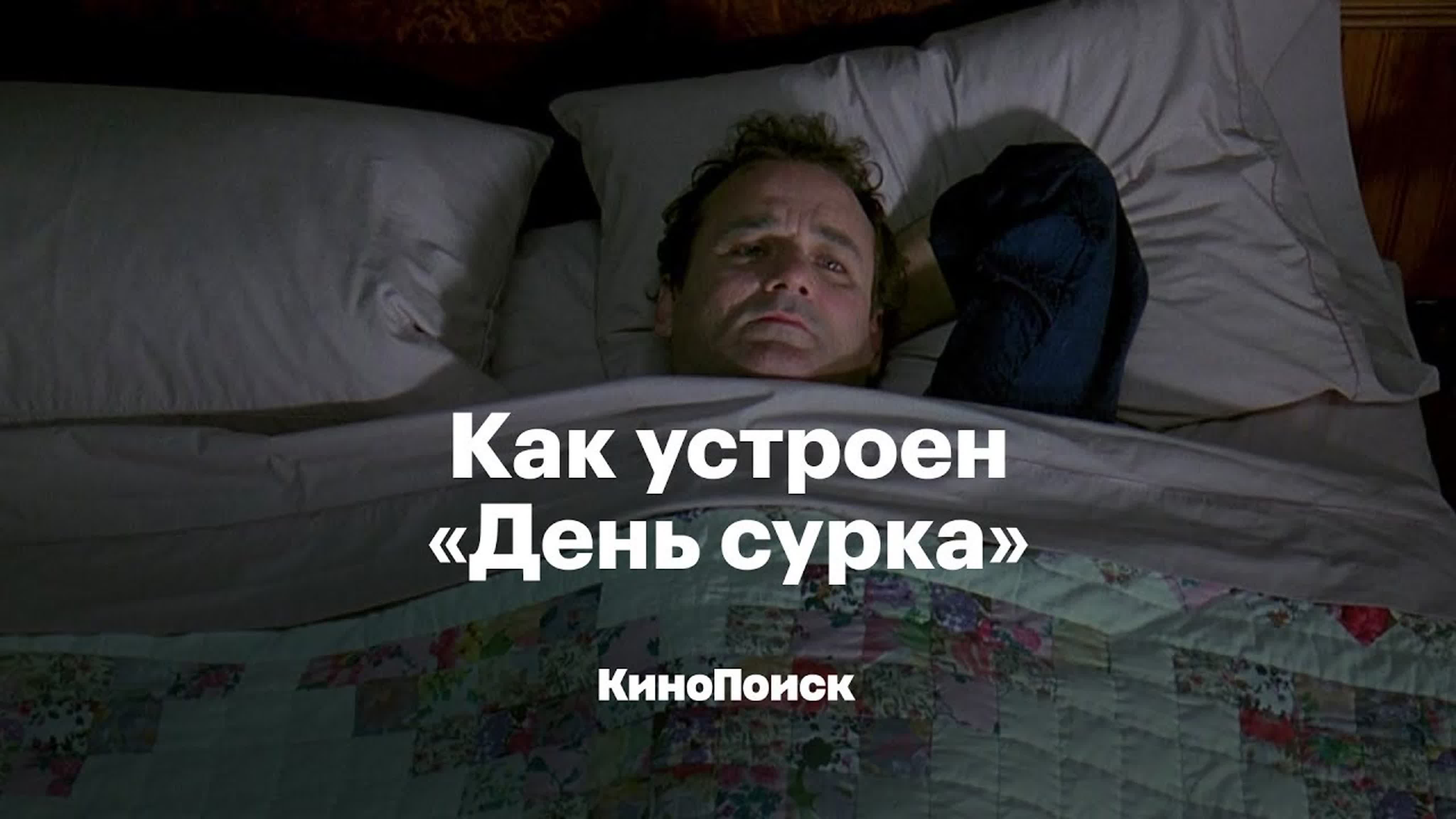 День сурка прикол
