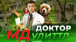 Как погода влияет на планы. Ручной зоопарк. Учим язык животных.