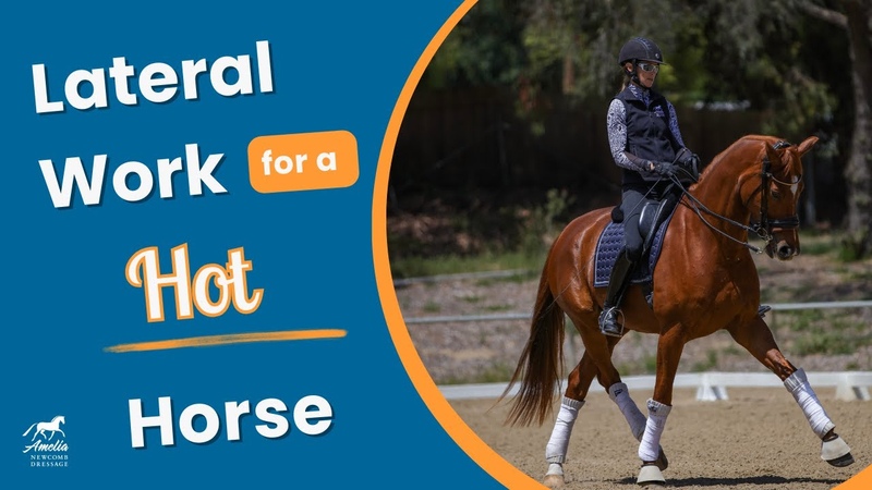 Relax Your Horse with Lateral