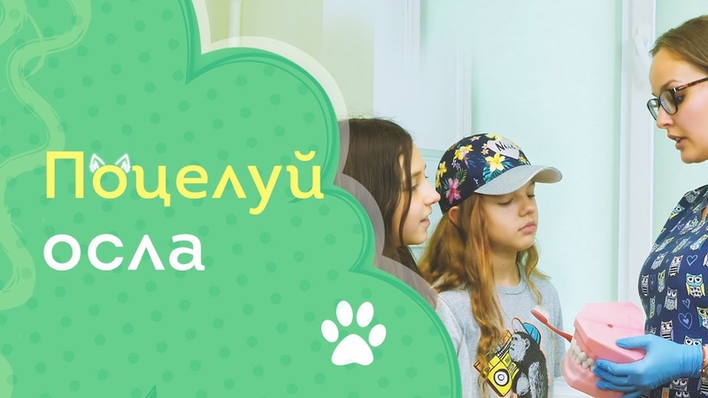 ПОЦЕЛУЙ ОСЛА,