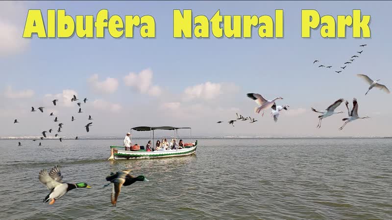 7 дней в Валенсии, часть 6: Parc Natural de l Albufera (фильм
