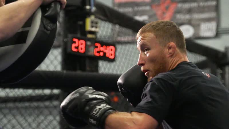 UFC 218: Eddie Alvarez vs Justin Gaethje Nonstop