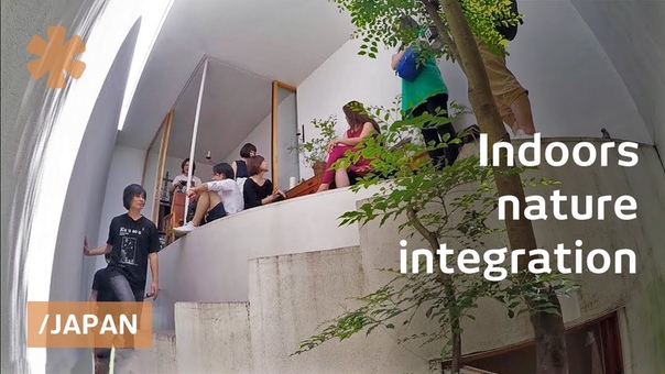 Yokohama narrow tiny house breathes attracts local