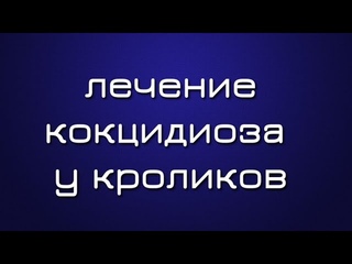 Лечение кокцидиоза у кроликов. Симптомы, причины, чем лечить кокцидиоз, профилактика.
