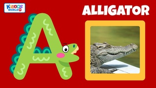 ABC Animals - Flashcards for Toddlers - Learning Animals Names and Sounds