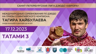 Международные соревнования на призы Тагира Хайбулаева Татами 3