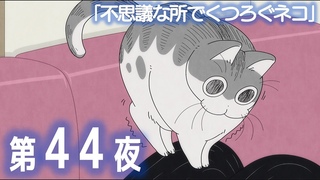 44